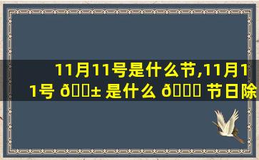 11月11号是什么节,11月11号 🐱 是什么 🍀 节日除了光棍节